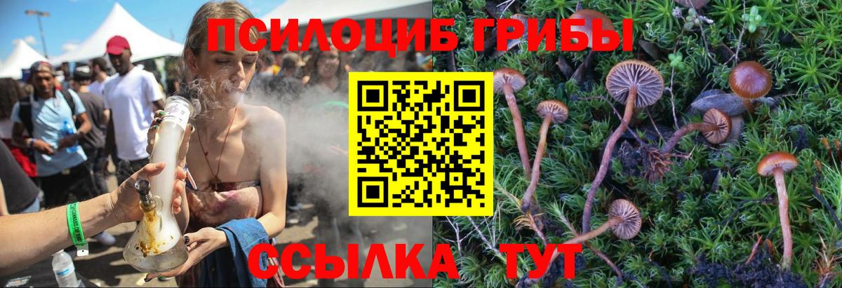 Галлюциногенные грибы ЛСД Углич